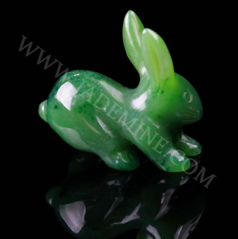 Carving, Jack Rabbit