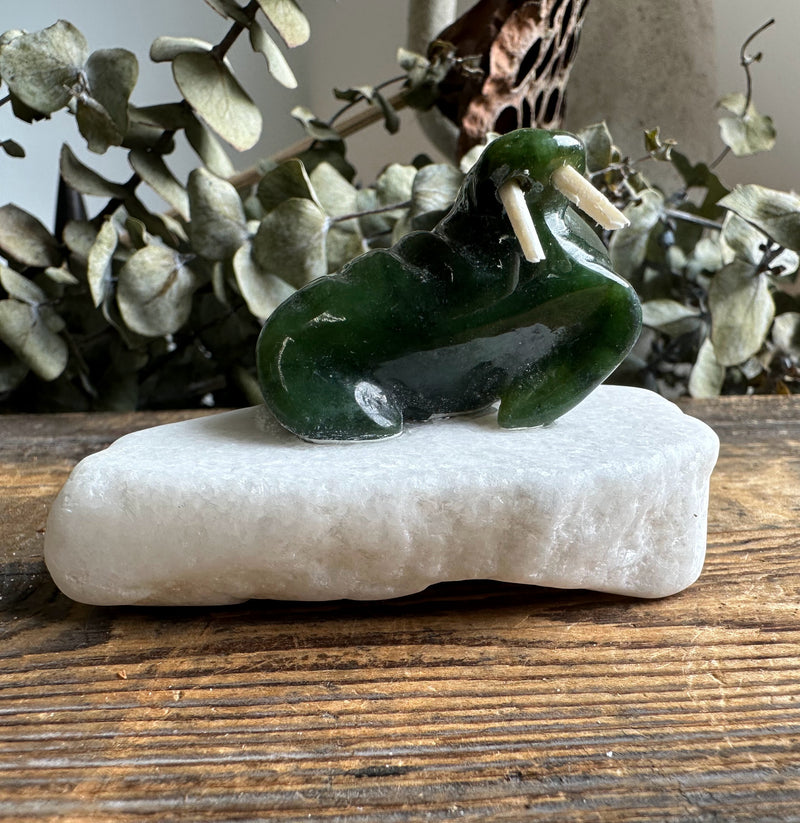 1.5" Jade Walrus