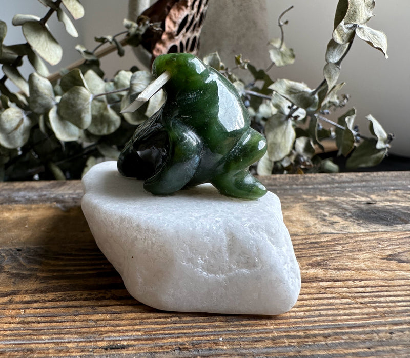 1.5" Jade Walrus