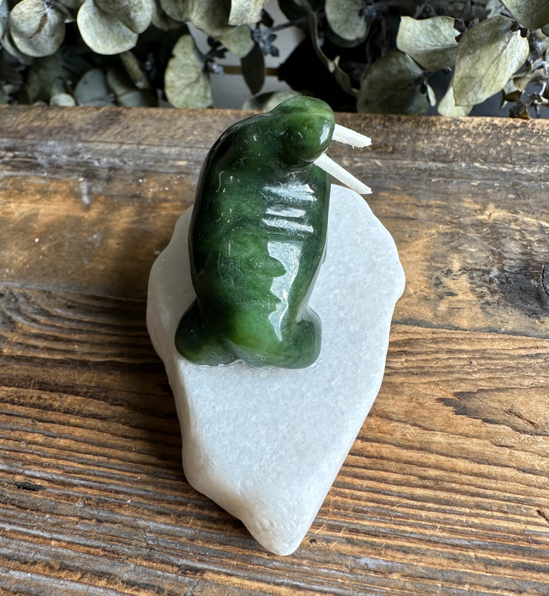 1.5" Jade Walrus